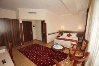Отель Отель Арцах Ереван Стандартный двухместный номер с 1 кроватью-3